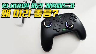 아니 이런 패드가 19,000원? 될꺼 다 되는 닌텐도 스위치 게임패드가 19,000원!