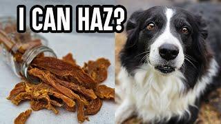 Stop Buying Unhealthy Dog Treats! Make These Easy Dog Treats Your Pup will Love! 