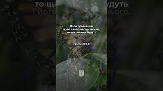 Притчі 20:6-8 #біблія #biblevision