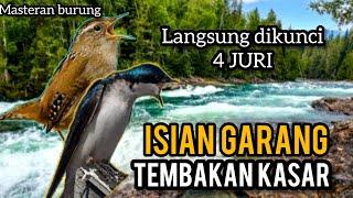 MASTERAN BURUNG FIGTHER ! ISIAN TEMBAKAN KASAR - Langsung dikunci Juri PART 2