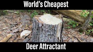 The World’s Cheapest Deer Attractant: Cheapest Food Plot: