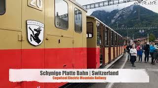 Cab ride Schynige Platte Bahn Switzerland | Train Driver view from Wilderswil | 4k 60fps