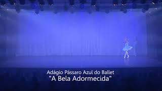 Pas Deux Blue Bird-   Sleeping Beauty/ Claryssa Barbosa e Vinícius Ferreira