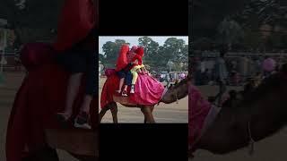 Punjab Festival #viral #shorts #challenge #shortvideo #culture