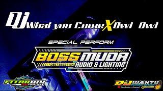 DJ What You Come x Owi Owi ||BOSSMUDA AUDIO LIGHTING || #jedagjedugviral #basshoreg