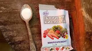 Подкормка свеклы золой и борной кислотой#подкормки