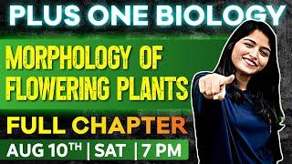 Plus One Biology | Chapter 5 | Morphology of Flowering Plants | Oneshot | Exam Winner Plus One