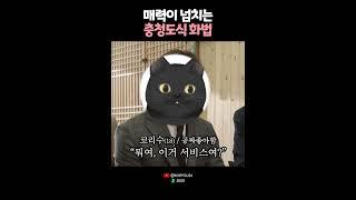 매력만점 충청도식 화법? 