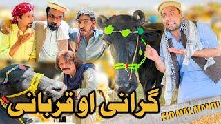 Grani Ou Qurbani New Funny Video Khyber Vines #eiduladha2024