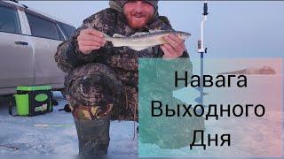Зимняя рыбалка. Владивосток, рыбалка 2024 . ловим Навагу.
