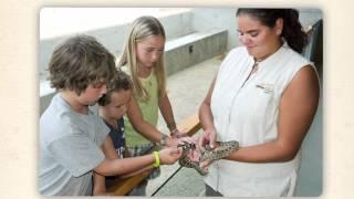 Project Spotlight Series: South Okanagan-Similkameen Conservation Program