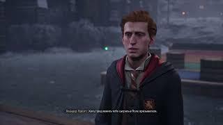 #14 Разнообразие . Прохождение Hogwarts legacy