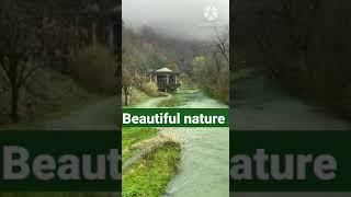 #beautifullnature#shortsfeed#shortsviral #beautifullnature#shortsfeed#shortsviral