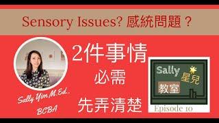 [Sally 粵語 | 星兒教室] 自閉症 | 感統問題兩件事，先弄清楚才找方法 | 自閉症治療 | 自閉症感統問題 | Sally Yim