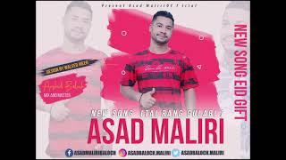 Tae Rang Gulabi - New Balochi Song 2021 - By Asad Maliri - Balochi Song - Eid Gift