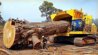 Dangerous Fastest Wood Chipper Machines in Action, Powerful Heavy Woodworking Machines Working