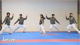 Team-M Taekwondo: 2013 training, fails, & more!