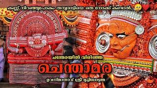 എന്ത് ഭംഗിയാ തമ്പുരാട്ടി...️മുച്ചിലോട്ടമ്മ, ചന്തേര മുച്ചിലോട്ട് പെരുംകളിയാട്ടം | Chanthera