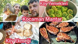 KOCAMAN MANTAR BULDUK | FINDIK MESAİSİ VE YEMEK MENÜSÜ | KÖY EVİ TEMİZLEME