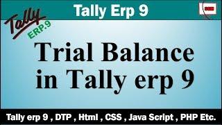 36. How to use Trial Balance in Tally ERP 9  in Hindi | Computer GM
