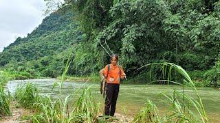 Girl's Fishing Skills - Daily Life Thuy