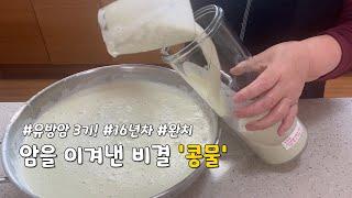 매일 하루 한잔 마시는 콩물 레시피! 콩물 만드는 방법 소개해요.  그리고 그 콩물을 이용한 요리 2가지도 소개합니다. 콩국수, 오트밀 콩죽