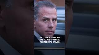 US President Joe Biden Pardons His Son Hunter For Federal Crimes, Donald Trump Reacts