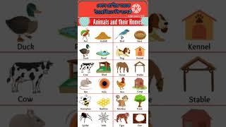 Animals and their house ।। কোন প্রাণীর ঘরকে ইংরেজিতে কি বলে ? #littlelearnbangla #shorts#shortsfeed