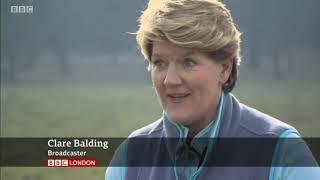 BBC London Evening News - Skylark protection with Clare Balding and the Friends of Richmond Park