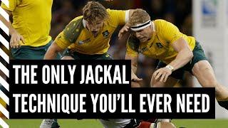 How to Coach the Jackal in 5 Easy Steps