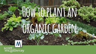 How to Plant an Organic Garden