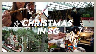  Singapore vlog: gardens by the bay #christmasinsg