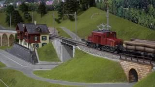 Besuch aus dem Depot Luzern