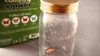My Butterfly - Realistic Butterfly in a Jar Toy