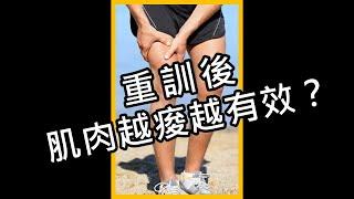 追求重訓後的痠痛感！越痠越有效嗎？｜ iYA運動營養 #shorts