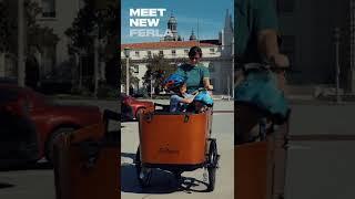 Ferla bikes 2