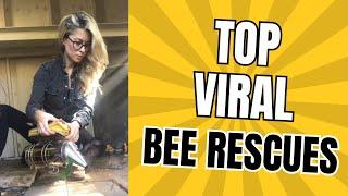 200M+ Views: Top Bee Rescues of All Time