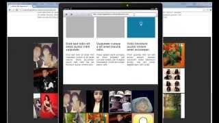 How to use SnapWidget on a responsive website