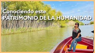 CONOCE el DELTA DEL DANUBIO| Tercer Lugar con MAYOR BIODIVERSIDAD del MUNDO 