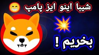 فوری و بسیار مهم ! پامپ ارز دیجیتال شیبا اینو اتفاق افتاد !هولدرهای شیبا حتما ویدیورا تا آخر ببینید