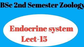 Endocrine system Lect-15