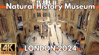 London 2024 Inside Natural History Museum 4K Walking Tour Video ULTRA HD