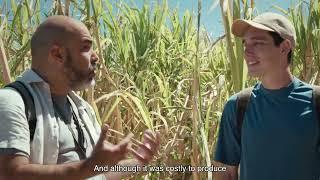 Trade routes and piracy: the sugar cane boom |  Canary Islands