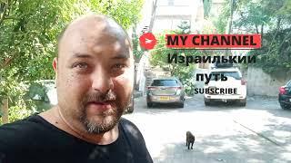 Обзор на нашу первую арендованную квартиру в Израиле. Июнь 2023 Хайфа
