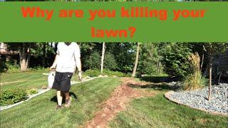 The Master Plan EP. 9: Start a Lawn Renovation