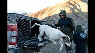 Stoney Creek  - Pig Hunting Range Tech Talk