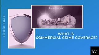 Commercial Crime Coverage Explained