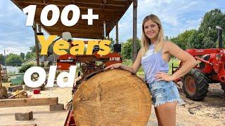 100+ Year OLD CYPRESS tree on the Sawmill! (Beautiful Grain Pattern!!!)