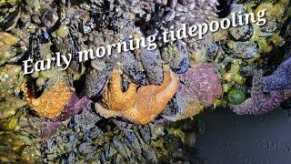 Tidepooling in Bandon, Oregon