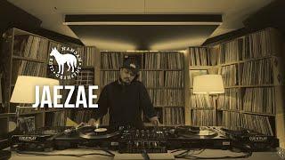 Jaezae   |  Namsan Shepherd Club